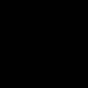 Meet your Posher, Trenyce